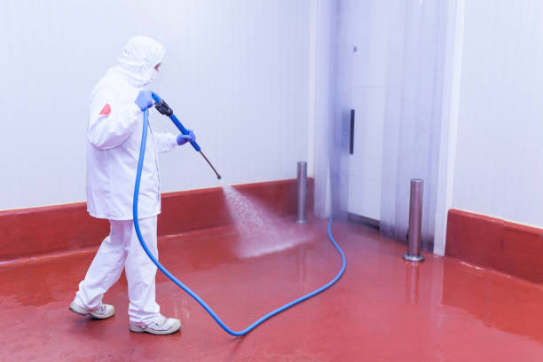 Best Boat and Dock Cleaning  in Shell Valley, ND